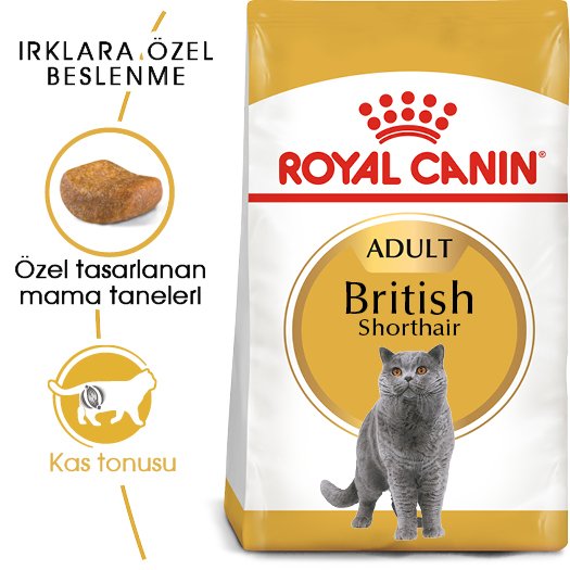 Royal Canin Adult British Shorthair 2 Kg