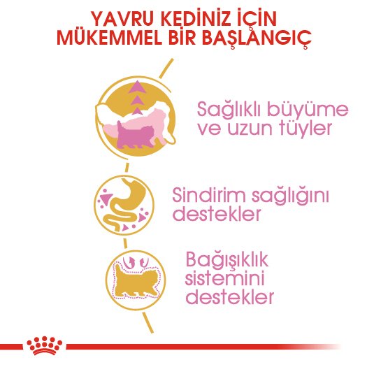 Royal Canin Kitten Persian 2 Kg