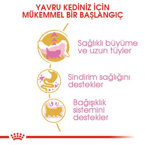 Royal Canin Kitten Persian 2 Kg