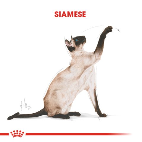 Royal Canin Siamese 2 Kg