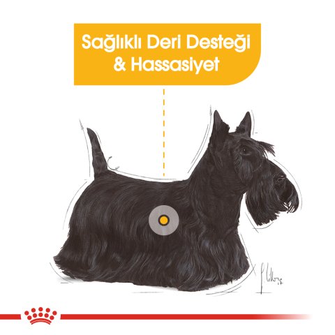 Royal Canin Mini Dermacomfort 3 Kg