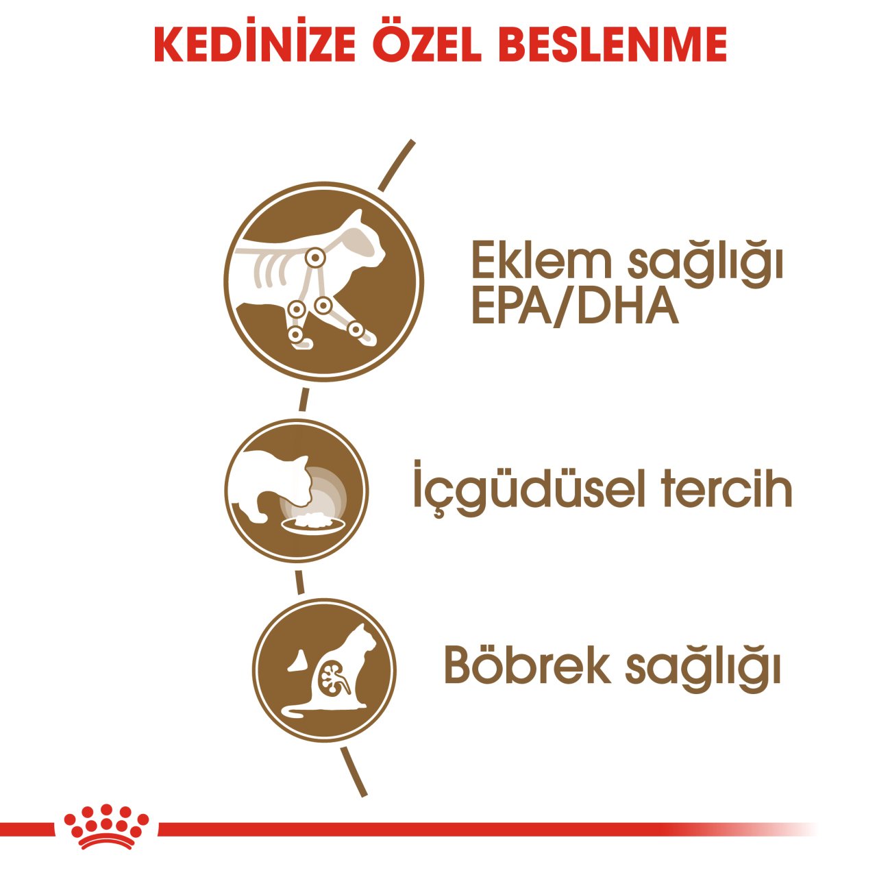 Royal Canin Ageing 12+ Gravy 85 Gr