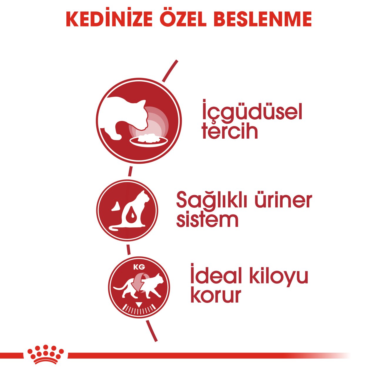 Royal Canin Instinctive Jelly 85 Gr