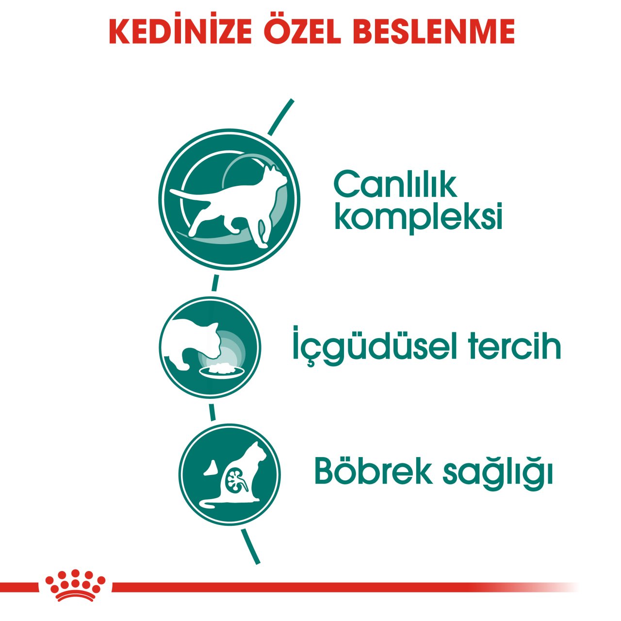 Royal Canin Instinctive 7+ Gravy 85 Gr