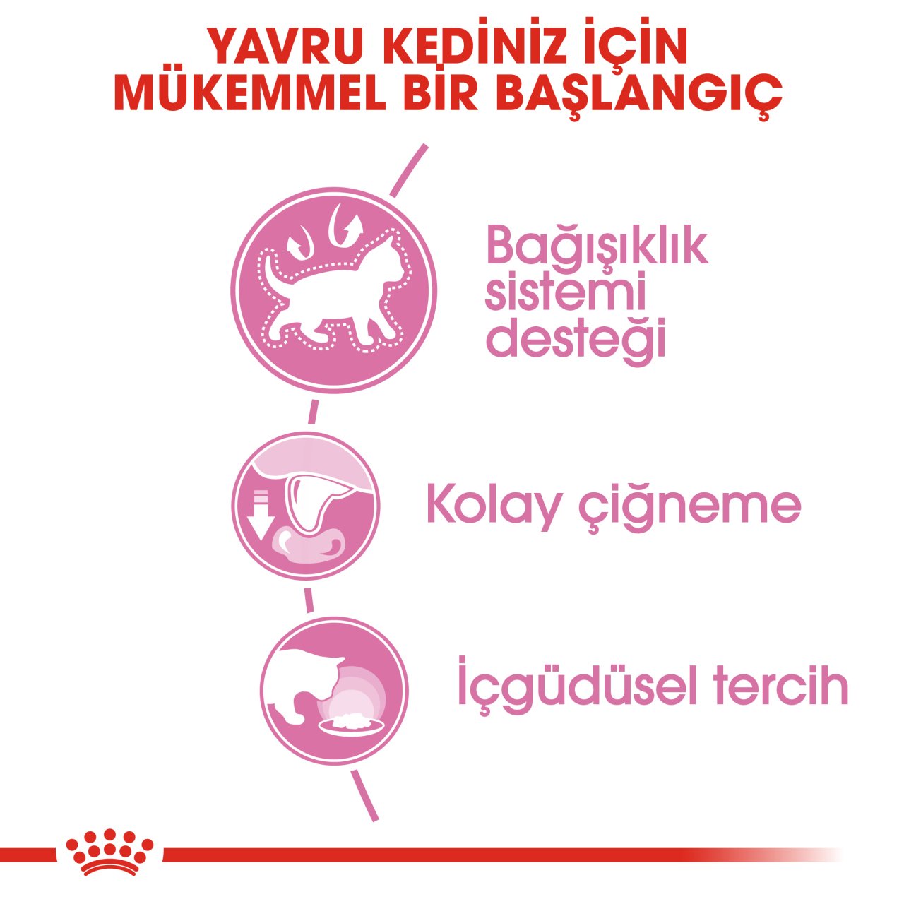 Royal Canin Kitten  Gravy 85 Gr