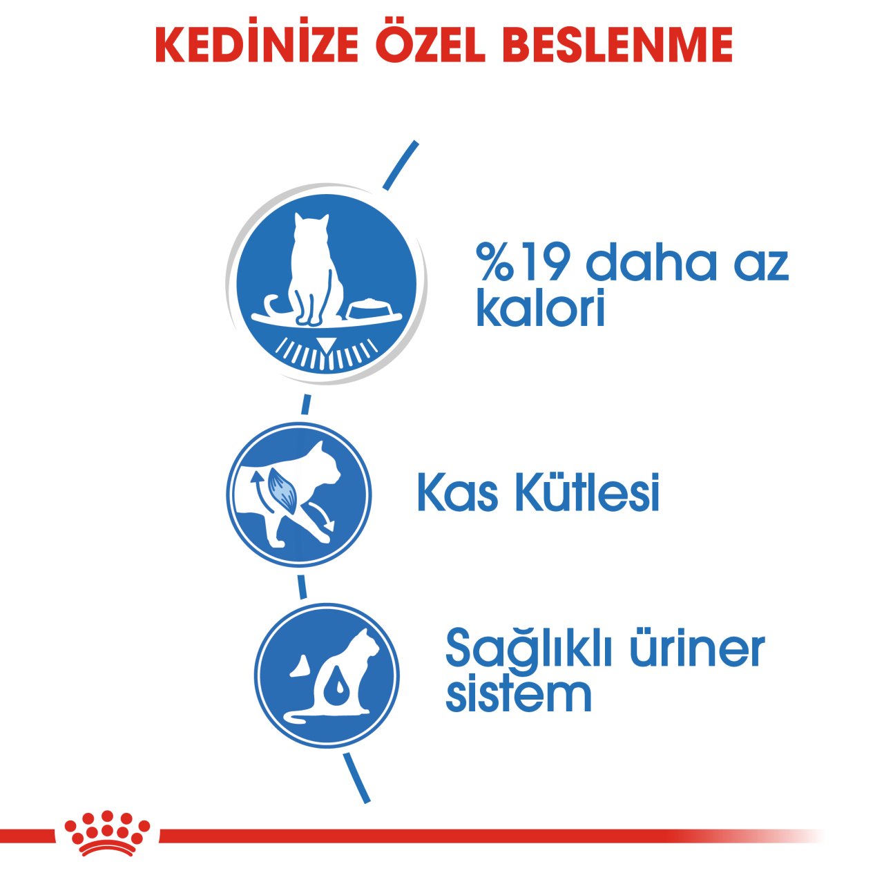 Royal Canin Light Gravy 85 Gr