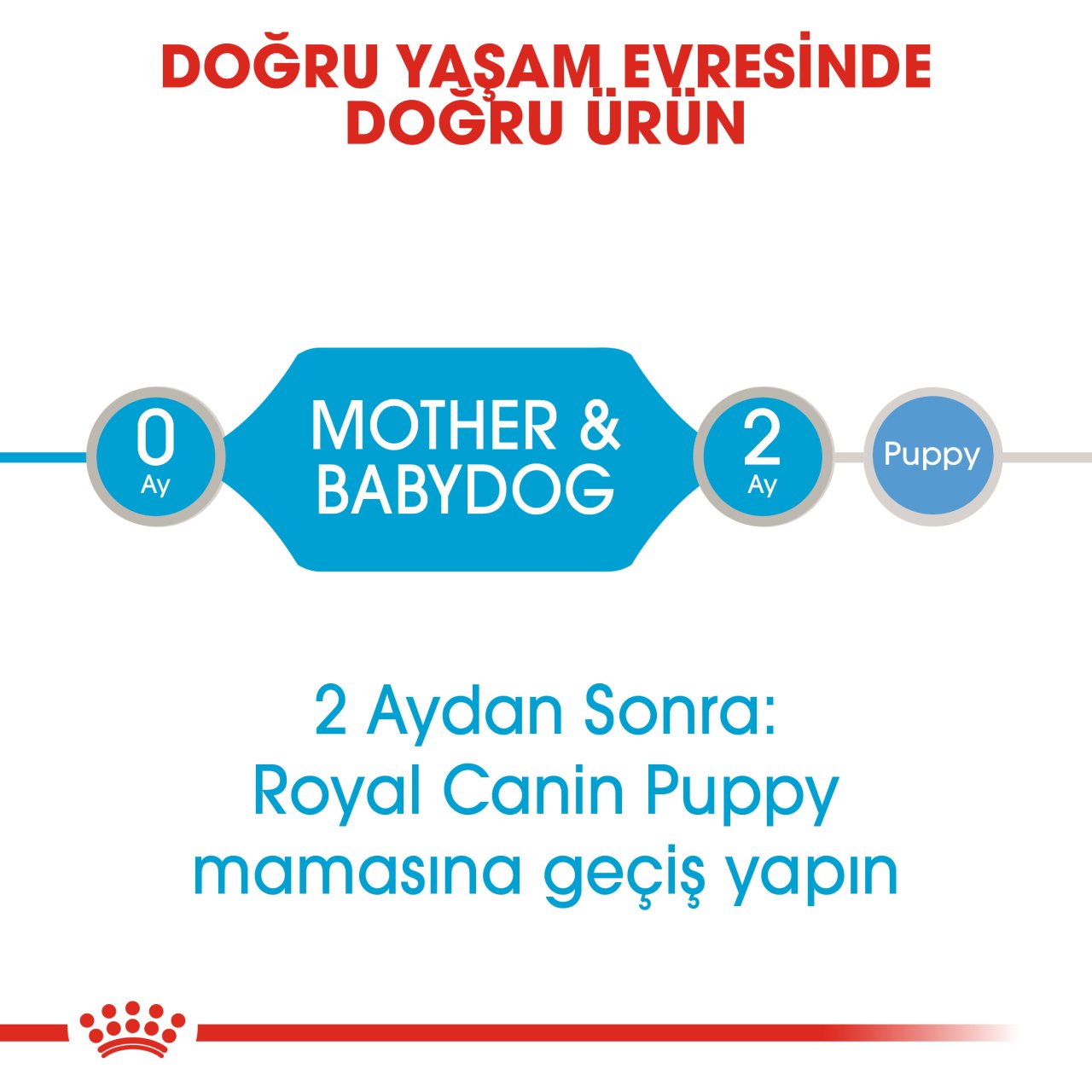 Royal Canin Starter Mother&Baby Dog Konserve 195 Gr