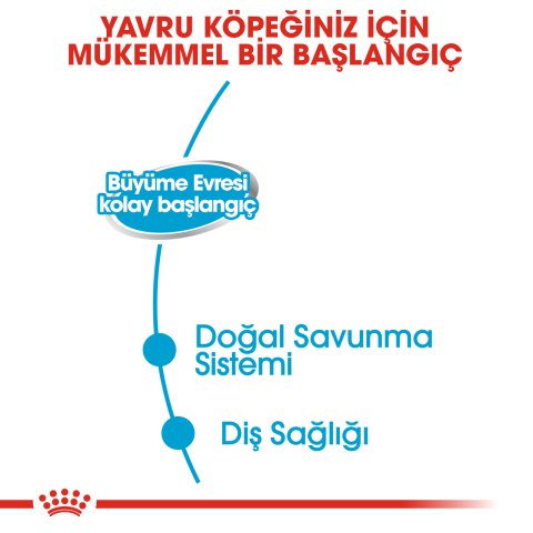 Royal Canin Starter Mother&Baby Dog Konserve 195 Gr