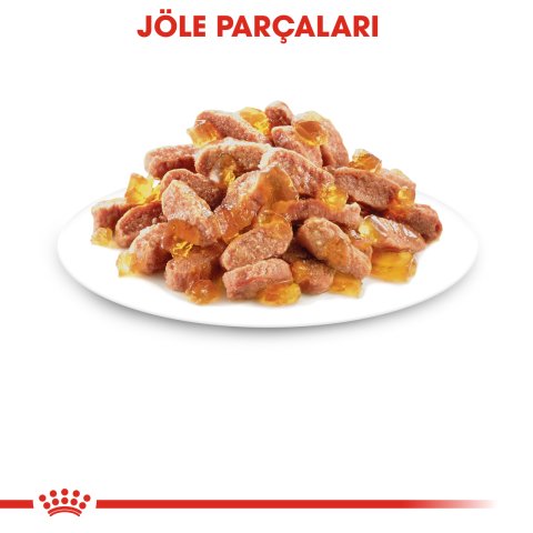 Royal Canin Kitten  Jelly 85 Gr