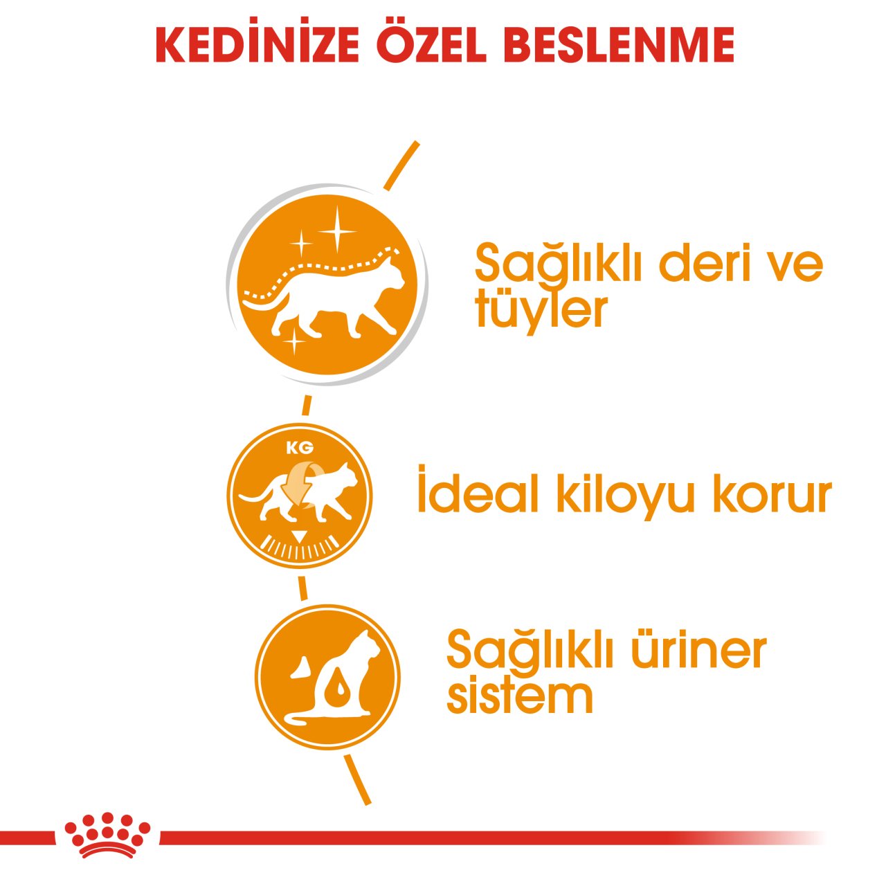 Royal Canin Hair&Skin Gravy 85 Gr 12 li Paket