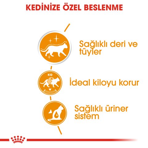 Royal Canin Hair&Skin Gravy 85 Gr 12 li Paket
