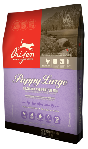 Orijen Puppy Large Breed Köpek Maması 11,4 KG