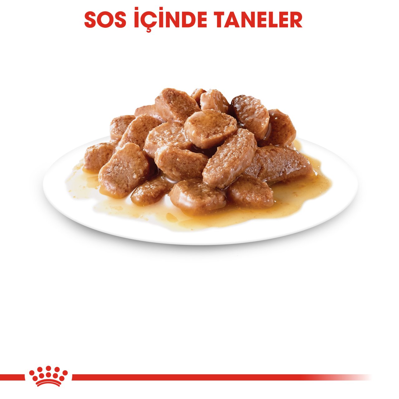 Royal Canin Ageing 12+ Gravy 85 Gr 12 li Paket