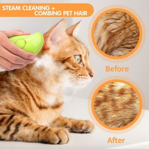 Kedi Buharlı Fırça 3'ü 1 Arada Buharlı