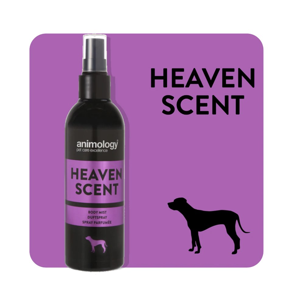 Animology Heaven Scent Fragrance Mist Köpek Parfümü 150 ML