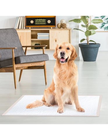 Record Çiş Pedi Meyve Kokulu 60CmX90Cm 30 Lu Paket