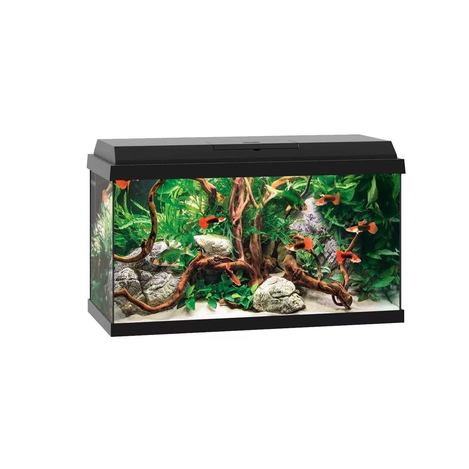 JUWEL PRİMO 60 LED AKVARYUM 57 Lt