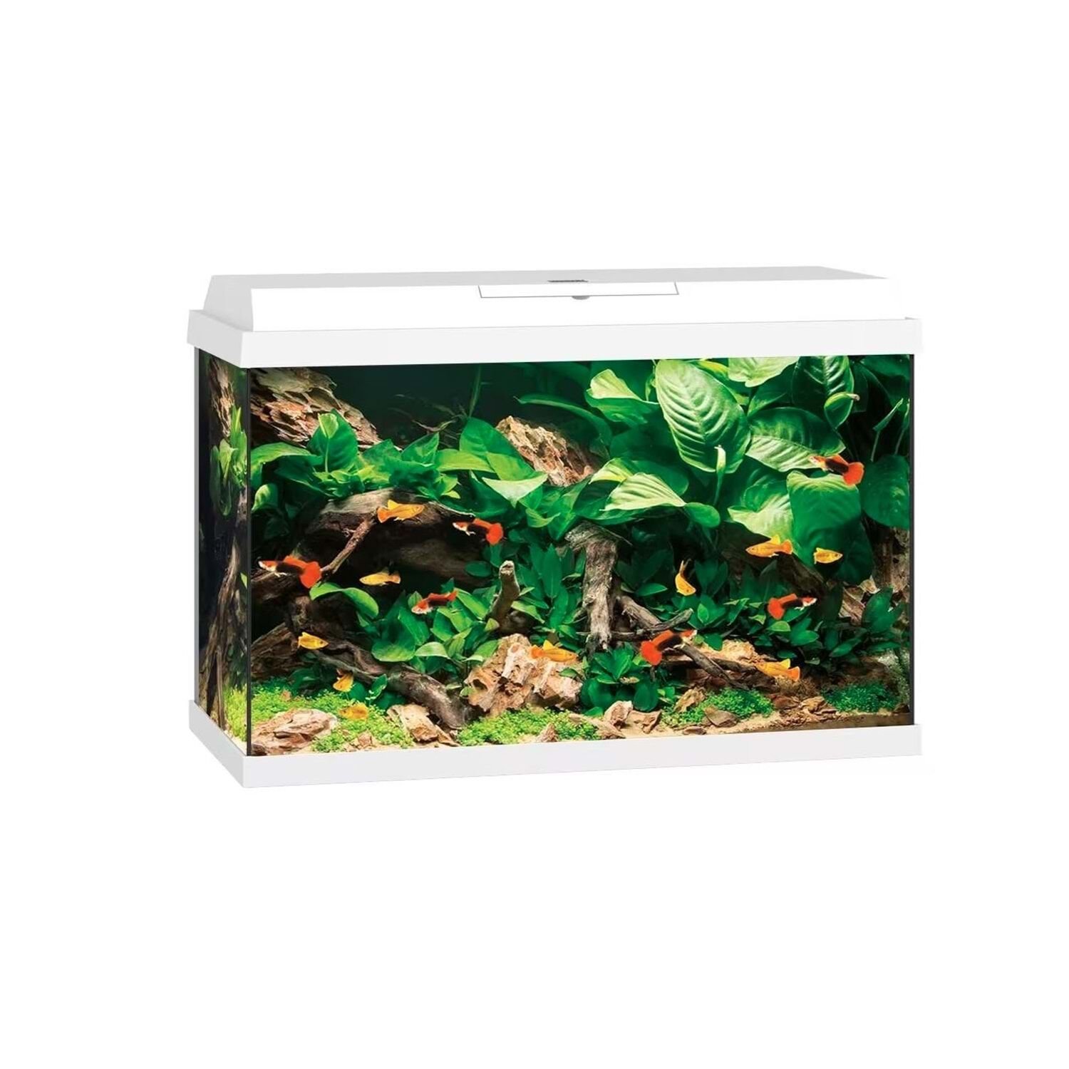 JUWEL PRİMO 70 LED AKVARYUM 70 Lt