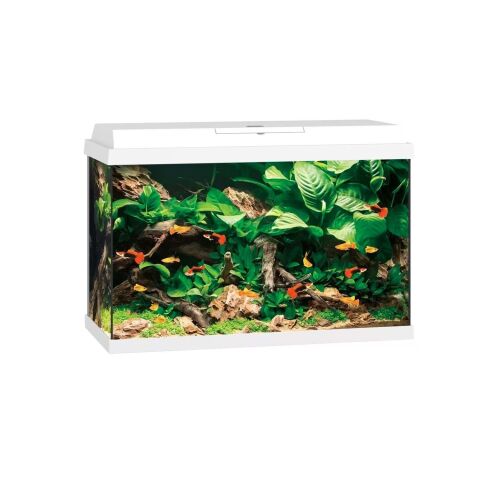 JUWEL PRİMO 70 LED AKVARYUM 70 Lt