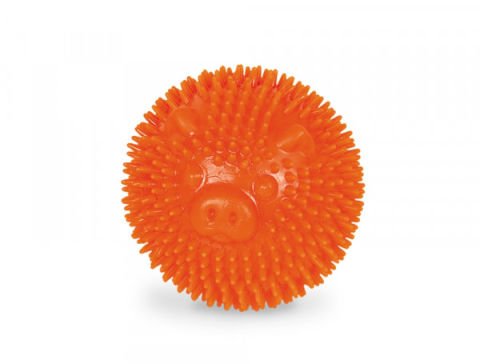 Dikenli top Domuz 6.5 CM