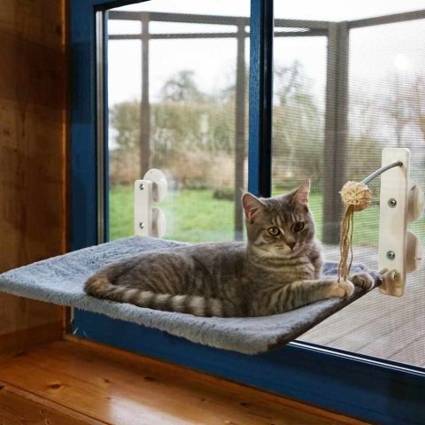 Kedi Cam Önü Vantuzlu Yatak 61x39x24 Cm