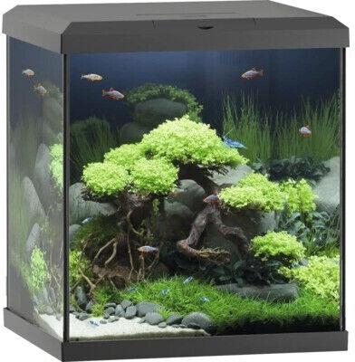 Juwel Aquarium VİO KÜP 54Lt  41 x 36 x 47h cm
