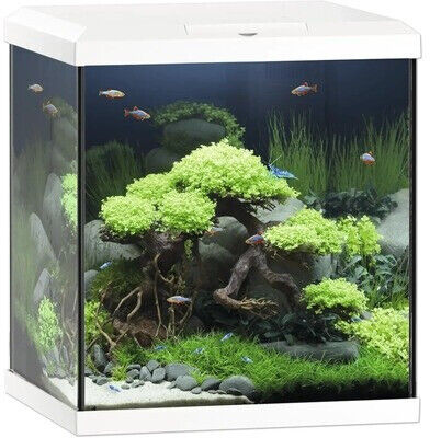 Juwel Aquarium VİO KÜP 54Lt  41 x 36 x 47h cm
