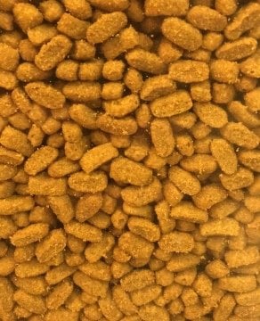 Pro Plan Kısırlaştırılmış Hindili Kedi Maması 2 Kg