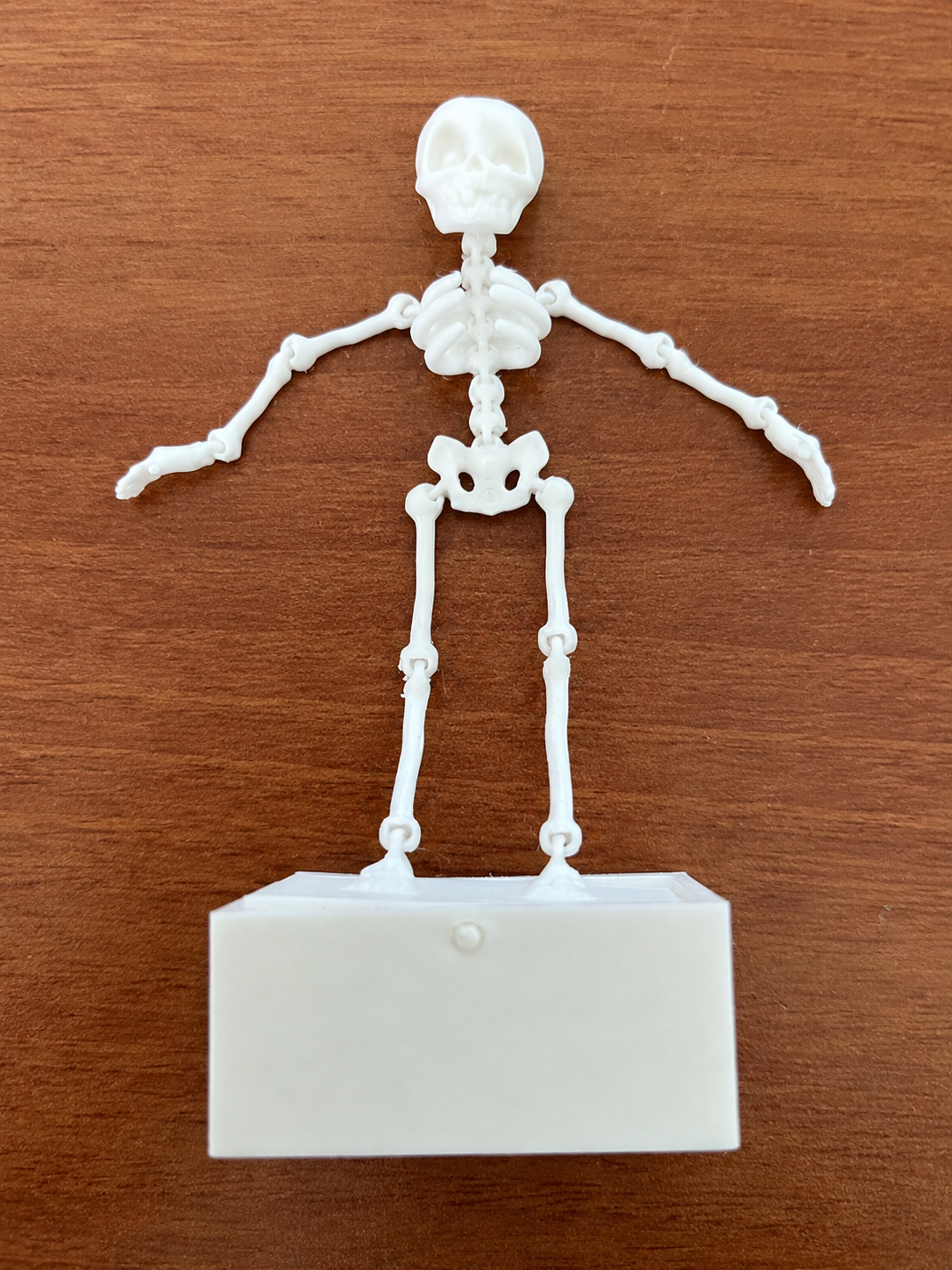 Dans Eden İskelet Akvaryum Dekoru 12 Cm