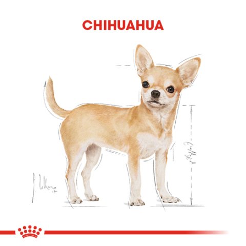 Royal Canin Chihuahua Adult 1.5 Kg