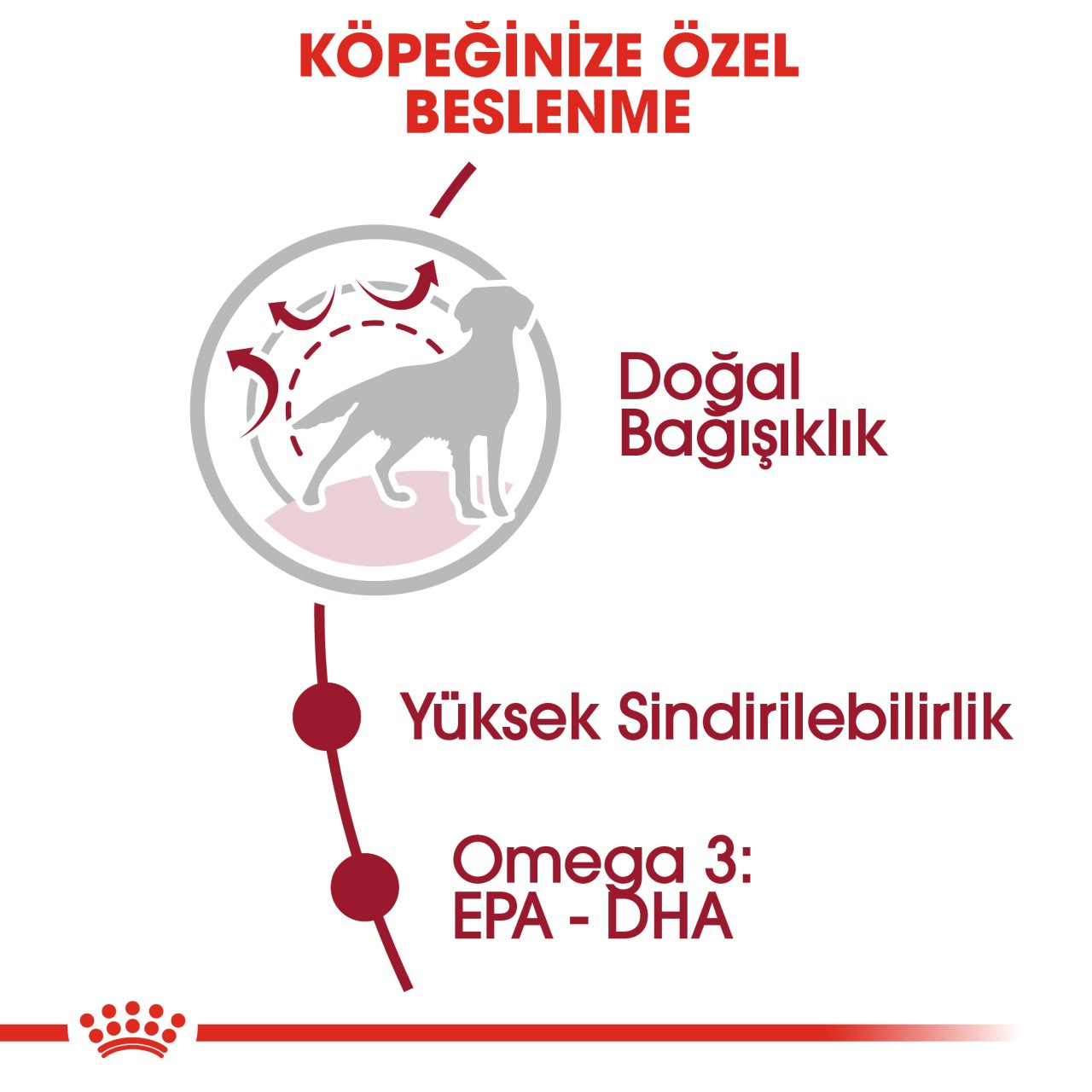 Royal Canin Medium Adult 15 Kg