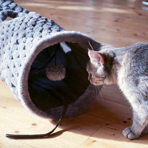 Kedi Tüneli Peluş 90 Cm