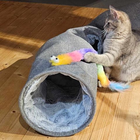 Kedi Tüneli Üstü Keten İçi Peluş 110 Cm