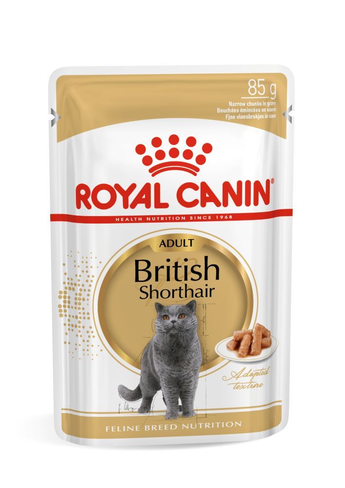 Royal Canin British Short Hair 85 Gr 12 Li Ambalaj