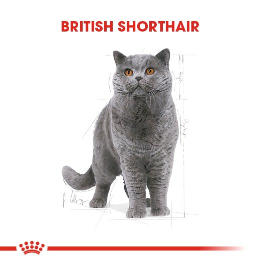 Royal Canin British Short Hair 85 Gr 12 Li Ambalaj