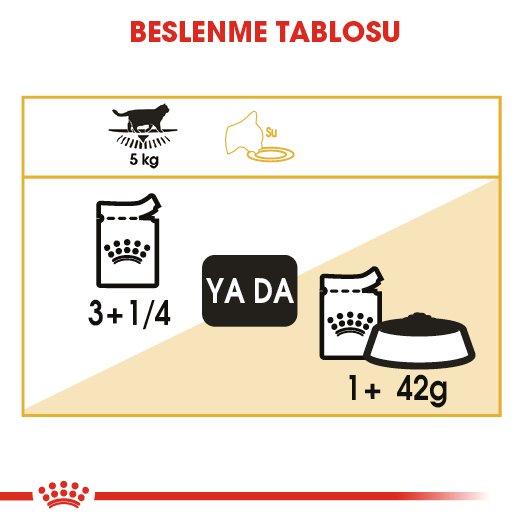 Royal Canin British Short Hair 85 Gr 12 Li Ambalaj