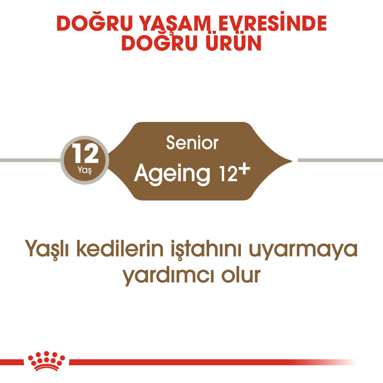Royal Canin Ageing 12 Yaş Üzeri  2Kg