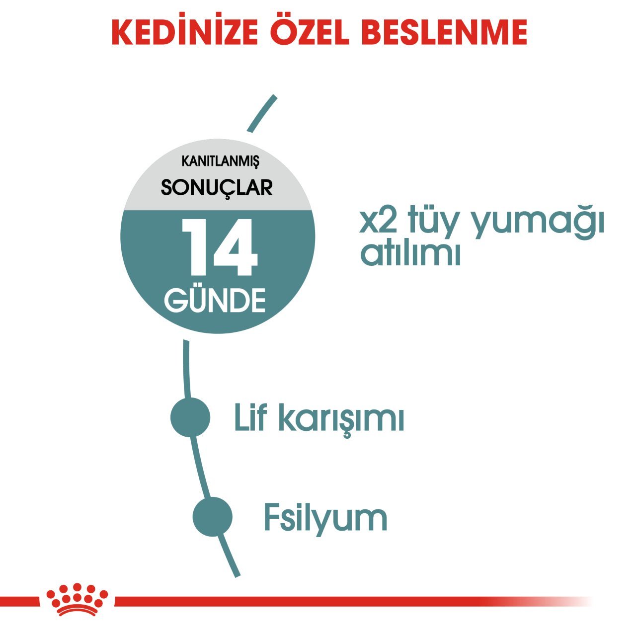 Royal Canin Hairball Care 2 Kg