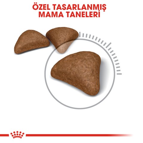 Royal Canin Hairball Care 2 Kg