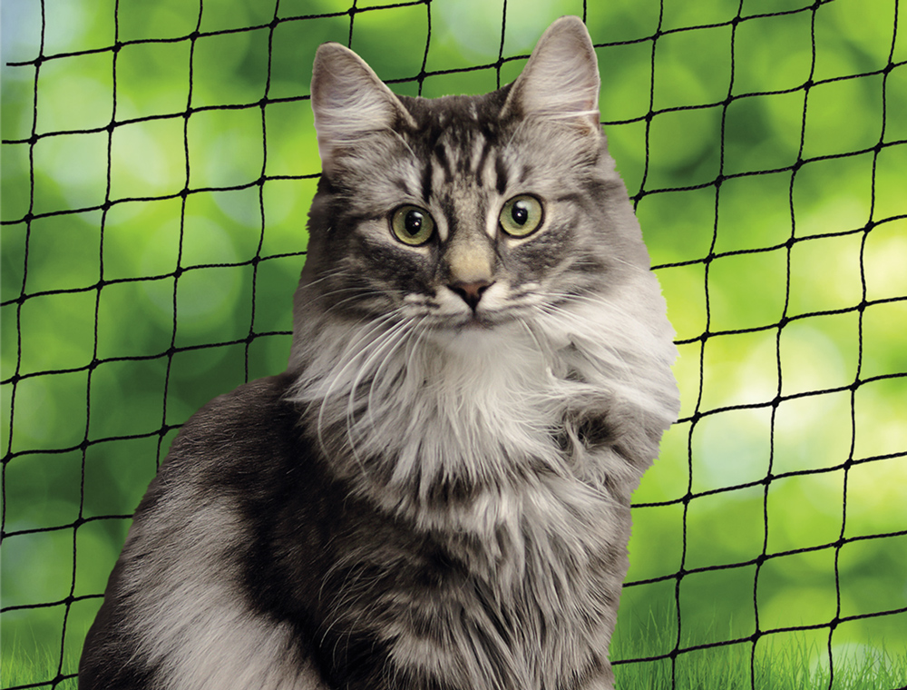 Kedi Güvenlik Ağı 2x3 Mt Nobby