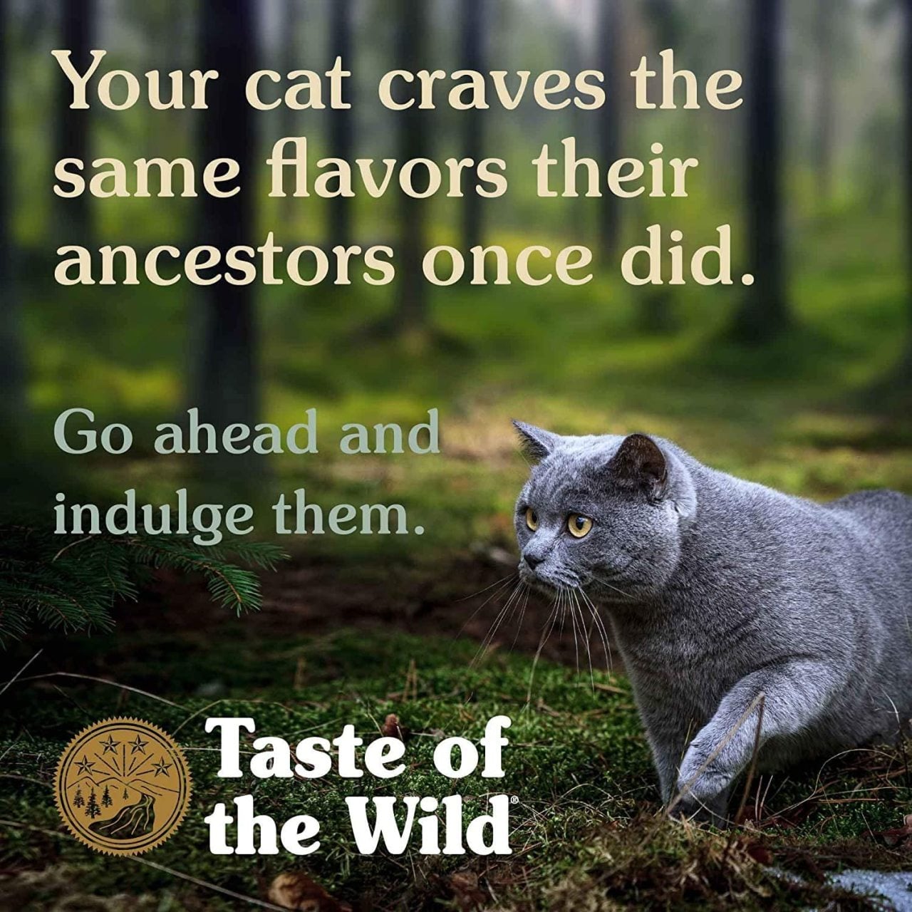 Taste of the Wild Lowland Creek Tahılsız Yavru ve Yetişkin Kedi Maması 2 Kg