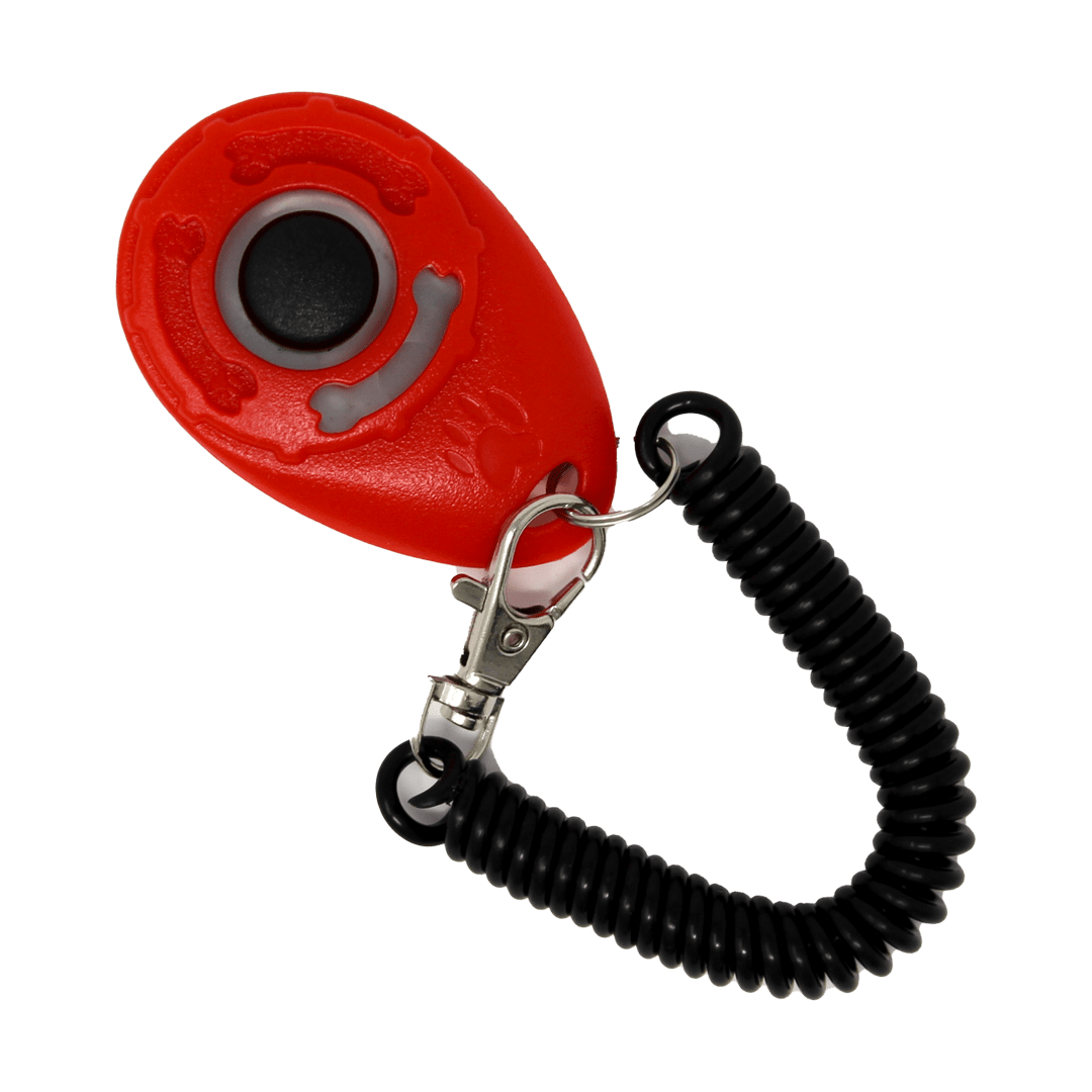 Clicker Club Safari