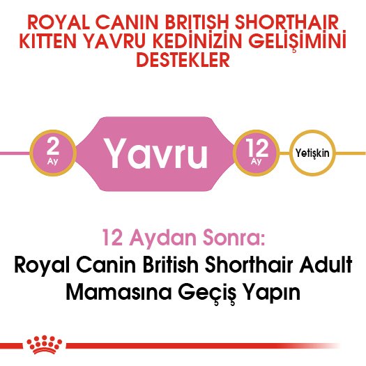 Royal Canin Kitten British Shorthair 2 Kg