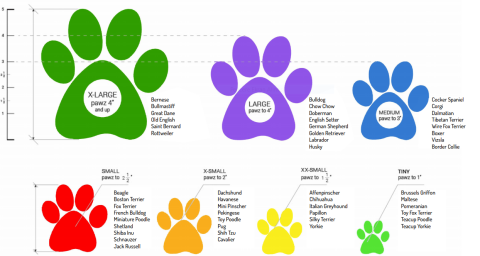 Pawz Small Köpek Galoşu