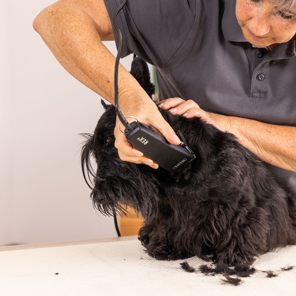 Köpek Kedi Traş Makinesi Wahl Rex 1230