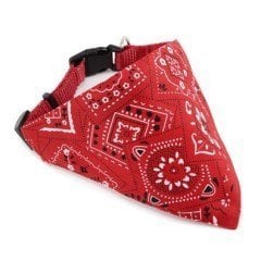 İMP FULARLI TASMA 81050